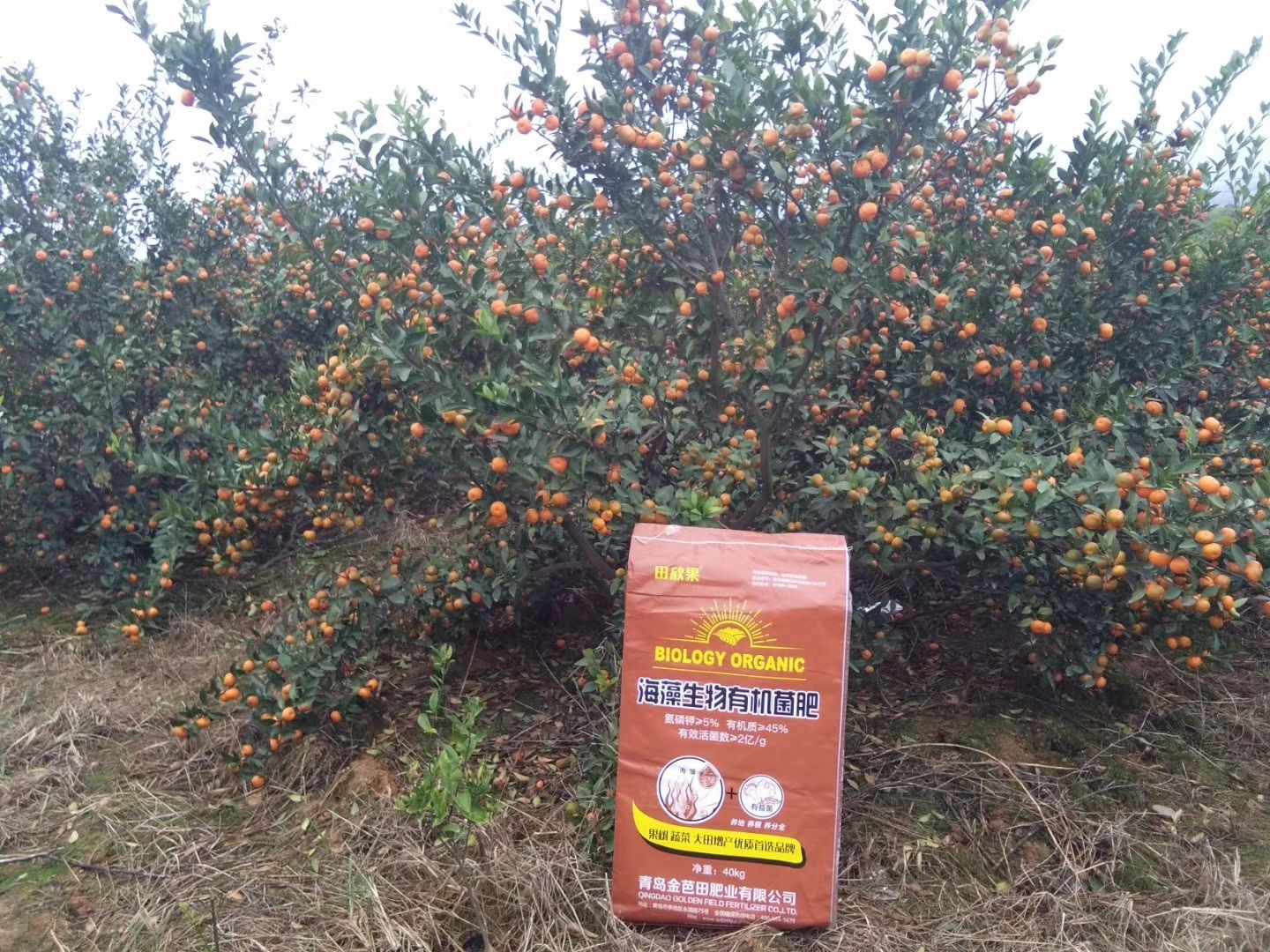  生物有机菌肥.有机肥.