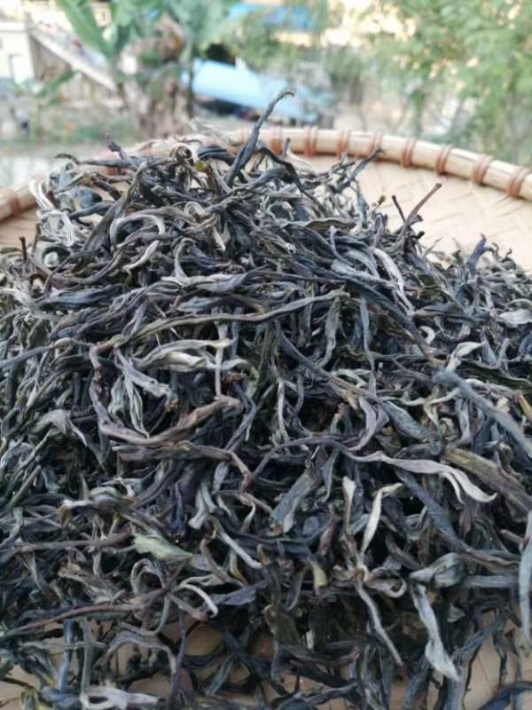 云南绿茶 勐海茶勐海味