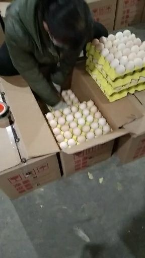 辛集市精品粉蛋