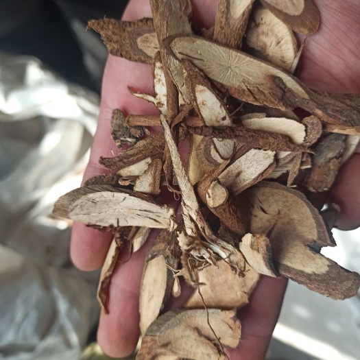 亳州 千斤拔 正品 专业批发中药