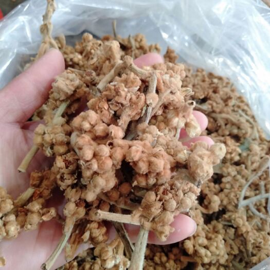 和平县枇杷花茶 农家枇杷花，干，颜色好香味好，量大优惠