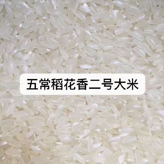 五常市稻花香二号大米 一等品 一季稻 粳米