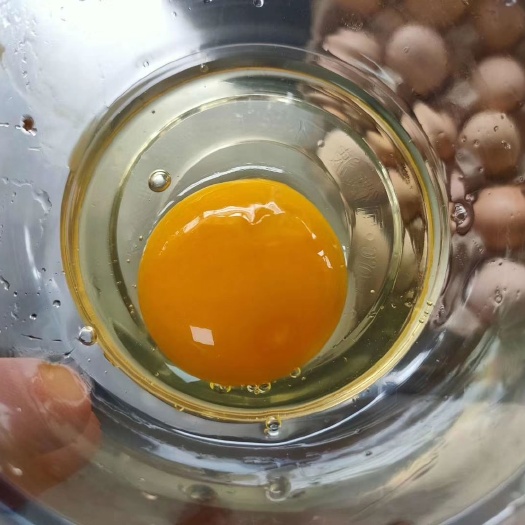 广州土鸡蛋 食用 散装