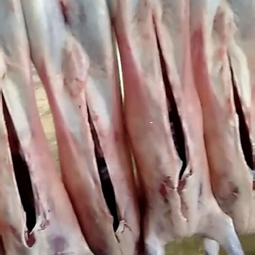 兰州 新鲜羊肉配送批发，专为各大餐厅，超市，个人提供新鲜羊肉，