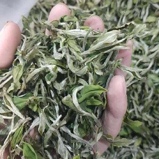 福安市 白茶白牡丹