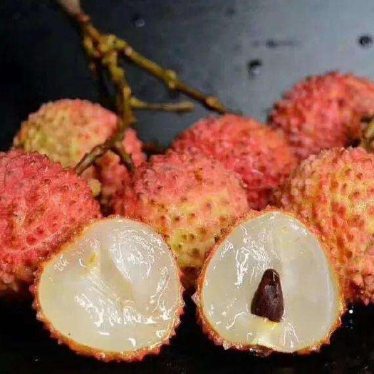 灵山县糯米糍荔枝苗嫁接苗
核小果肉厚香甜美味