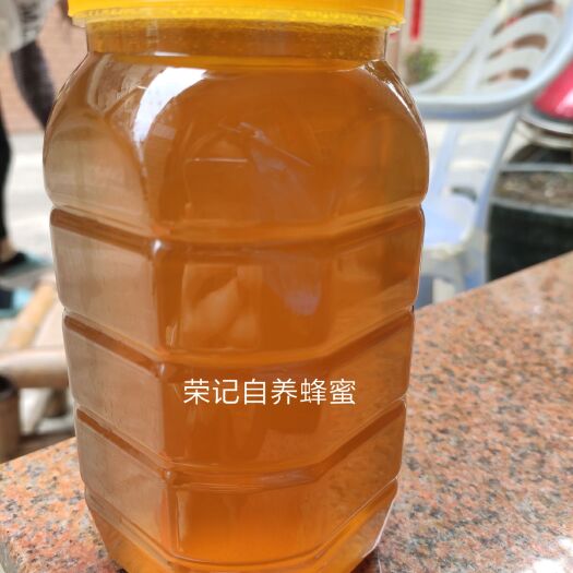 东莞市 自产自销的土蜂蜜  清润