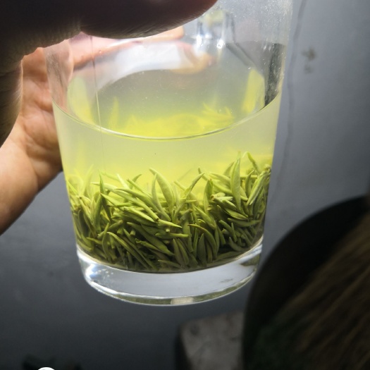 信阳 信阳毛尖明前小芽