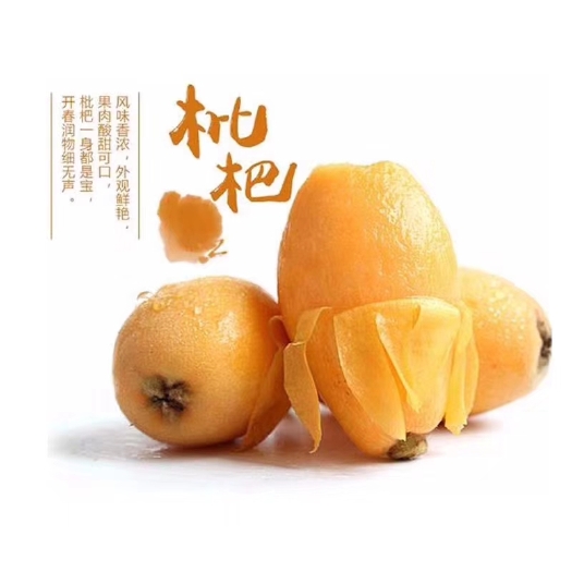 云霄县 中国云霄🇨🇳
枇杷之乡
酸甜可口
风味香浓
