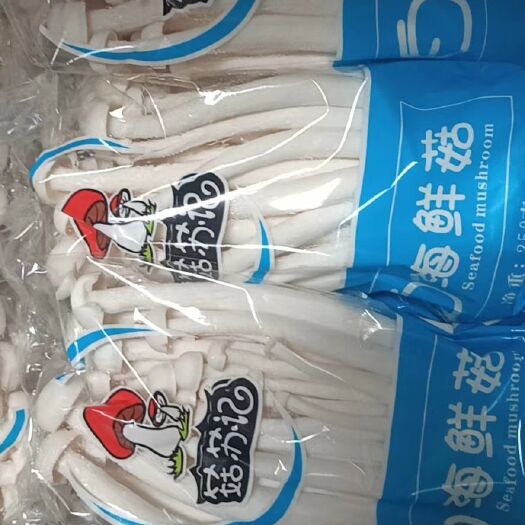 泗阳县海鲜菇  250克小包装  500克小包装