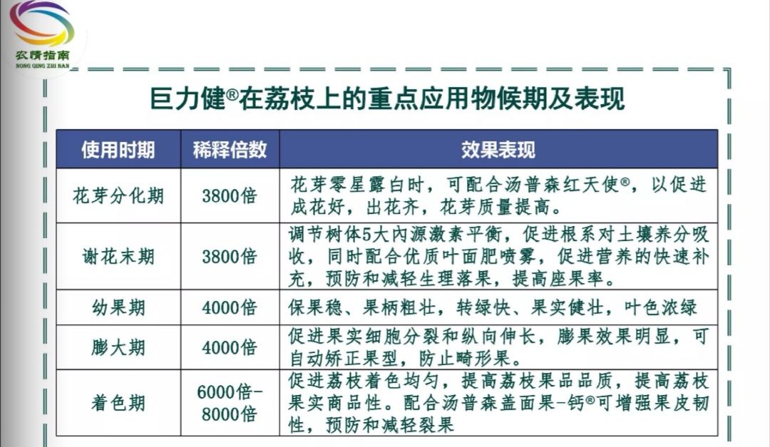 赤霉酸  巨力健10%赤霉胺鲜酯促长膨大叶绿抗逆生长调节剂