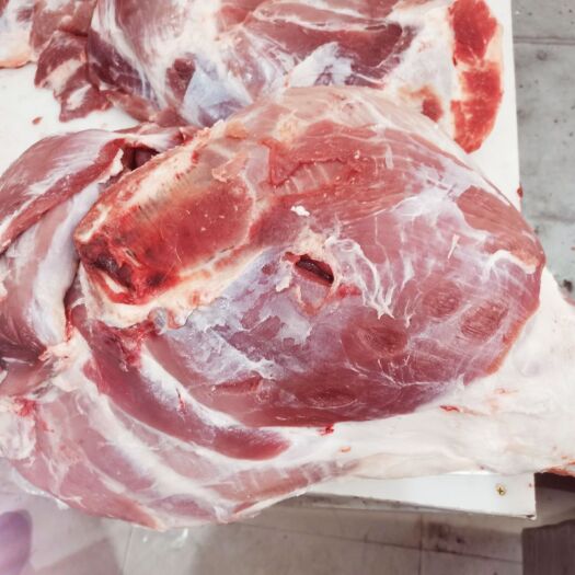 哈尔滨猪肉类 冷鲜肉批发！