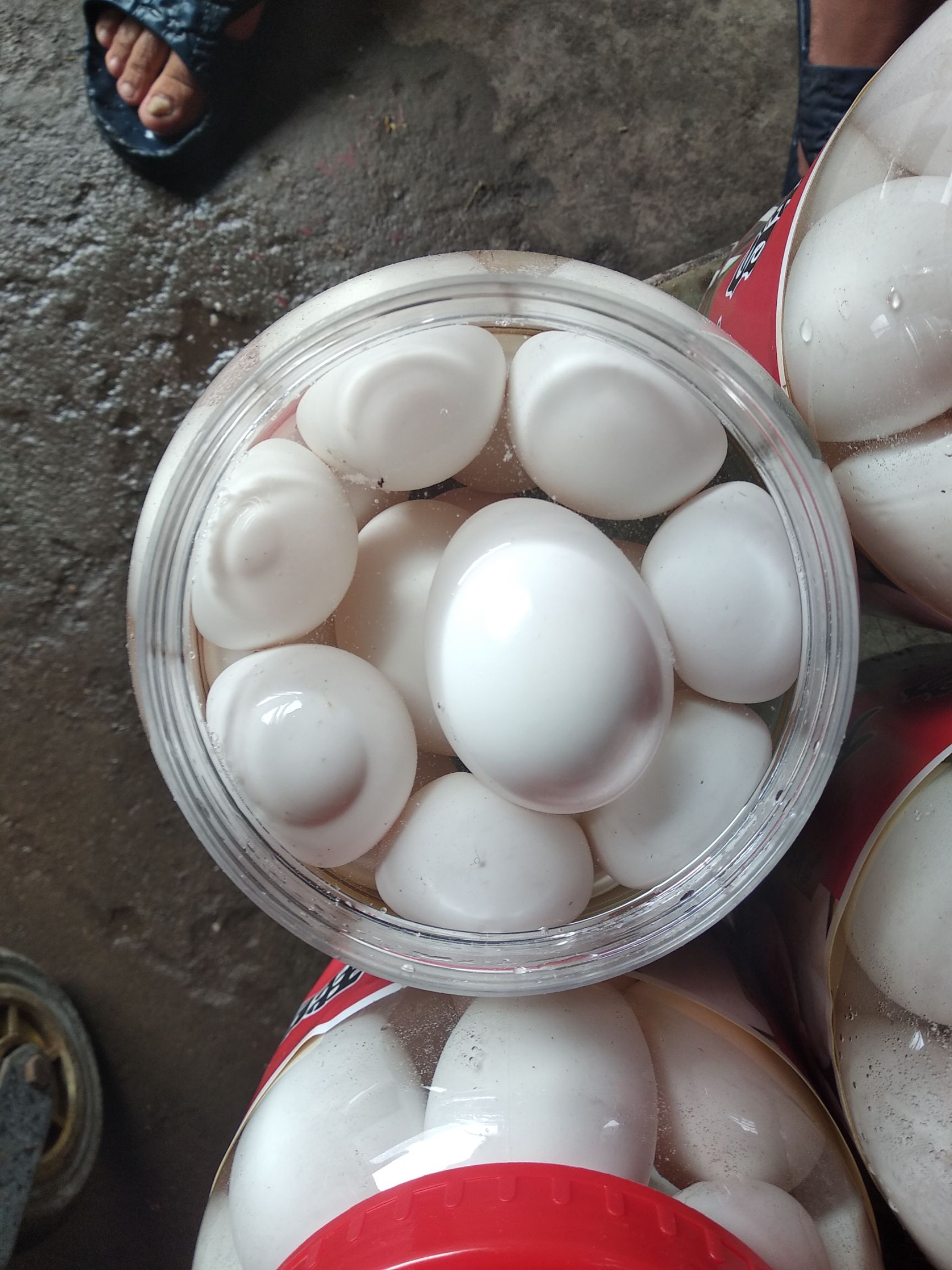 白鸭蛋 大鹅蛋       网红火爆产品。合作共赢