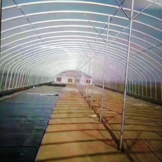 沭阳县椭圆管骨架 厂家直销：种植大棚，养殖大棚，单体，连体大棚