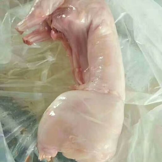 梅河口市 冷冻兔肉 白条兔 去皮兔子 无头兔 烤兔用食材