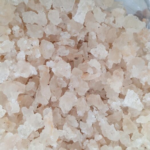 亳州 雪燕一手货源大货批发！价格优