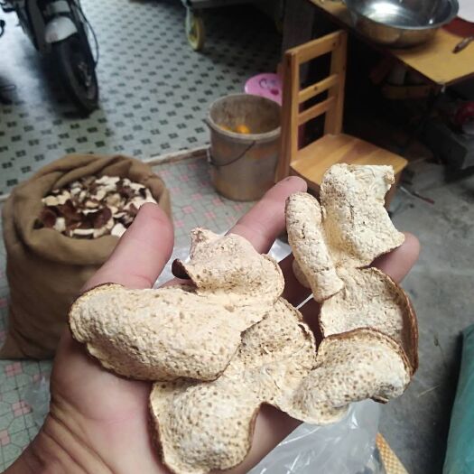 江门 新会19年陈皮3开皮