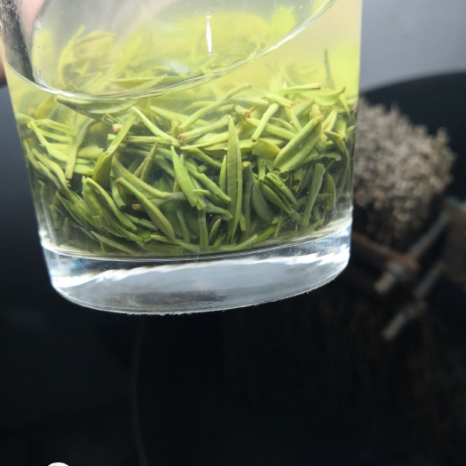 信阳 信阳毛尖明前中芽