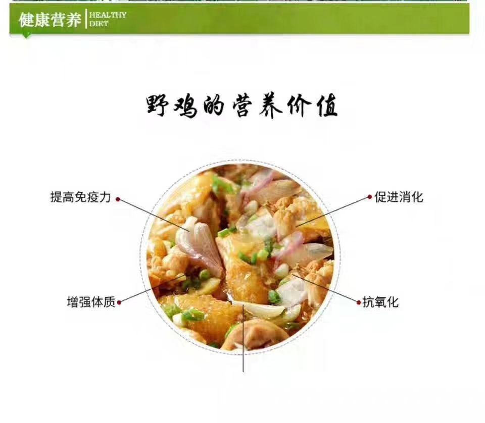 山鸡 七彩山鸡放养五谷杂粮饲养活体一手货源农场直达