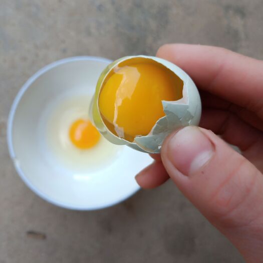 米易县 正宗丛林散养纯粮食土鸡蛋，绿壳蛋