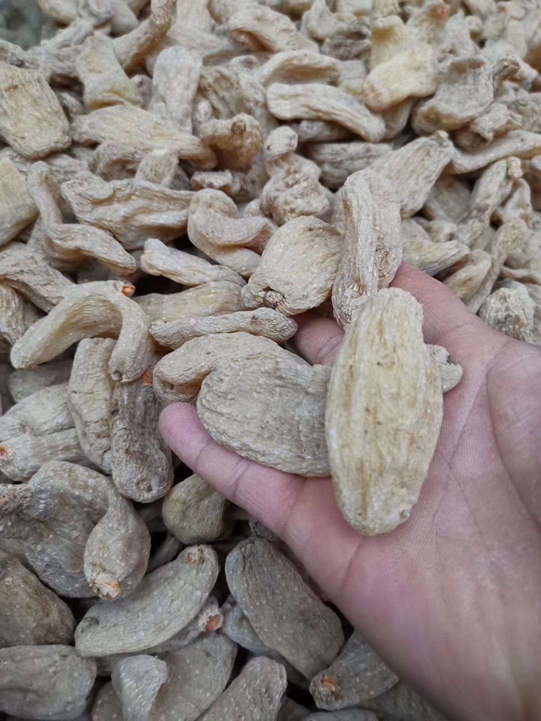  新干货云南昭通小草坝小干天麻500g15个无硫不酸可切