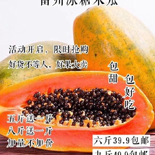 上海 雷州冰糖木瓜
