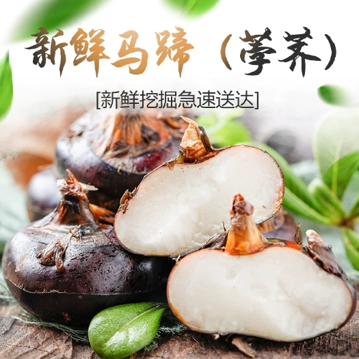 无为市安徽无为鲜马蹄特大个5斤荸荠带泥马蹄