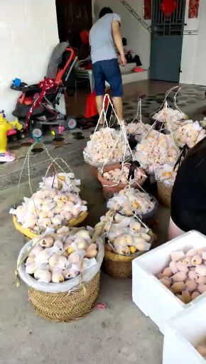 云霄县云霄枇杷 历史上的，到冰点
