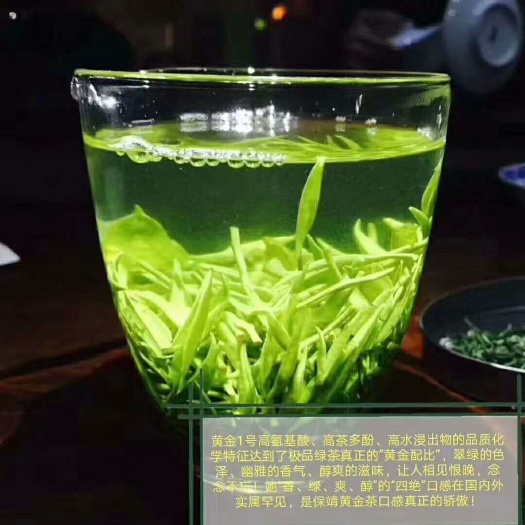 保靖县 一叶一心特级保靖黄金茶欢迎君来品鉴！茶农自产自销，物美价优