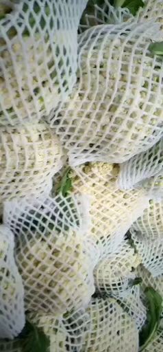 新野县白花菜花  松花菜  花菜量大出货中有需求的老板请联系我