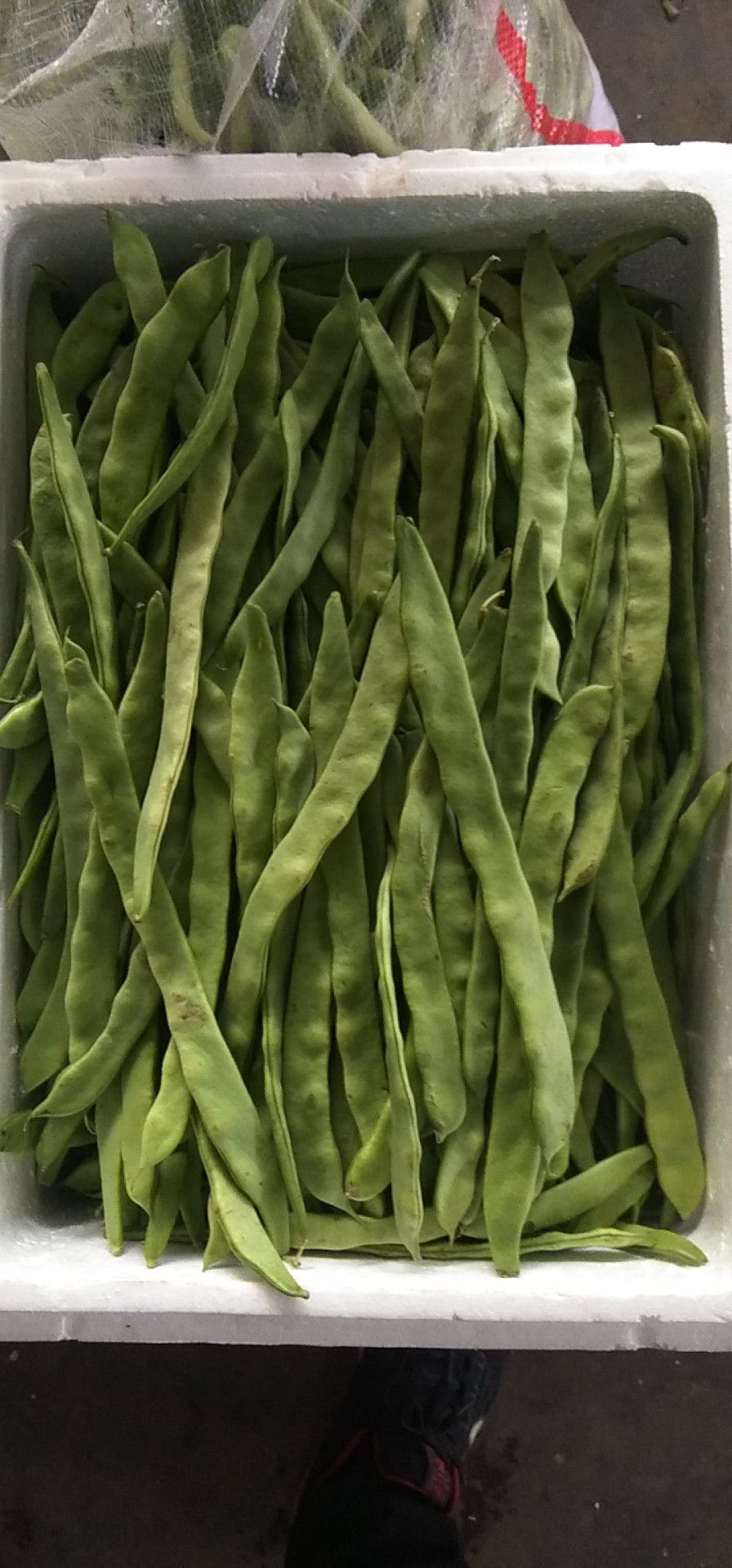 架豆王豆角 本地长年供应各种蔬菜