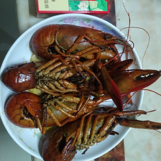 汕头潮汕地区清水澳洲淡水小龙虾开始上市