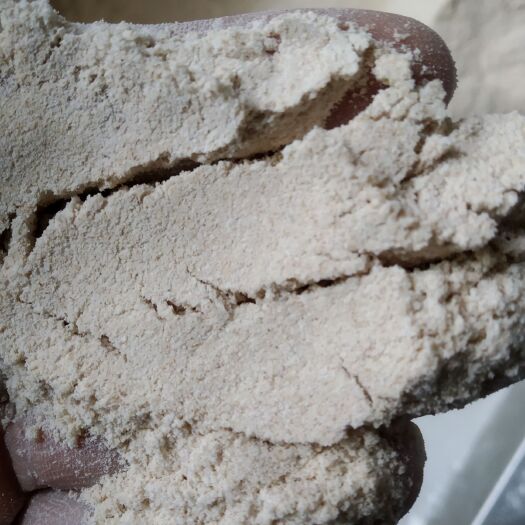 定兴县 石磨黑小麦全麦面粉