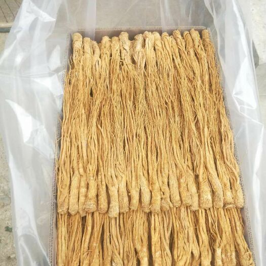 岷县岷当归  自家种植的当归  质量保证  包退换  是你久储不