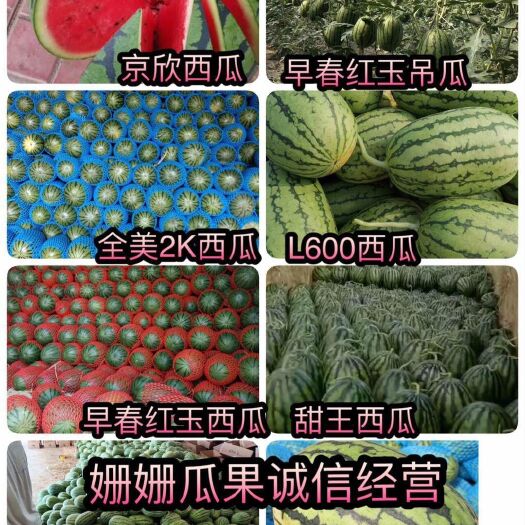 潍坊小糖丸西瓜，全美2k西瓜小糖丸，吊瓜，k2西瓜，