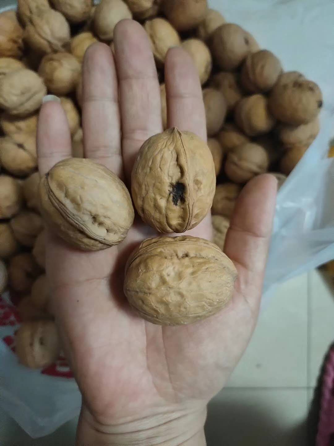 核桃，香玲核桃，黄龙核桃，黄龙香玲核桃，当年新核桃。