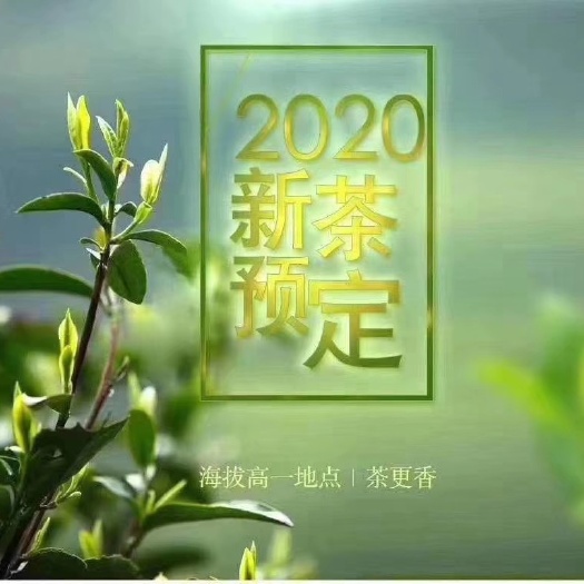 恩施市 恩施玉露茶