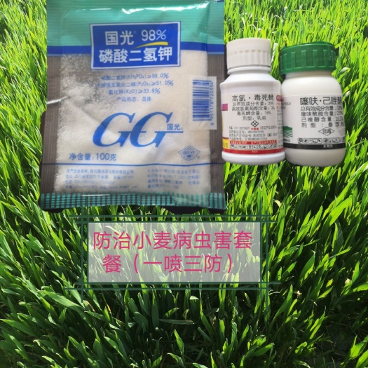 怀远县叶面肥料 小麦病虫害套餐（一喷三防）