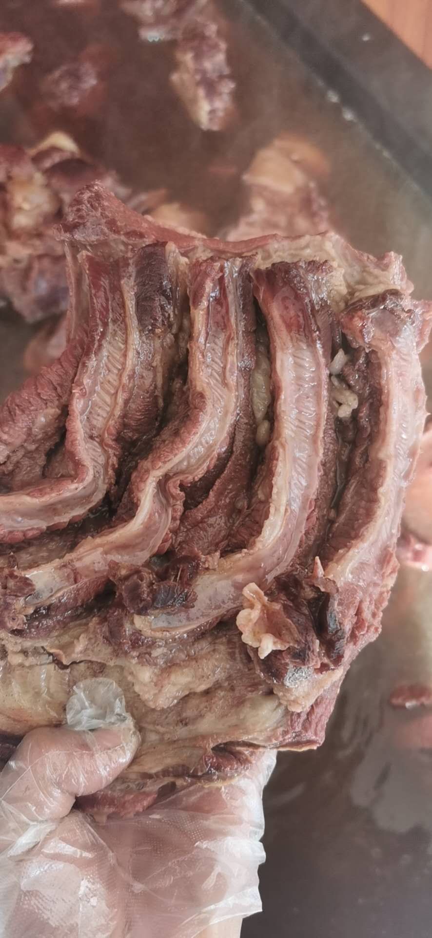 宁津县鲜驴肉  马肉，带皮肉，带皮马肉，带皮纯肉，
