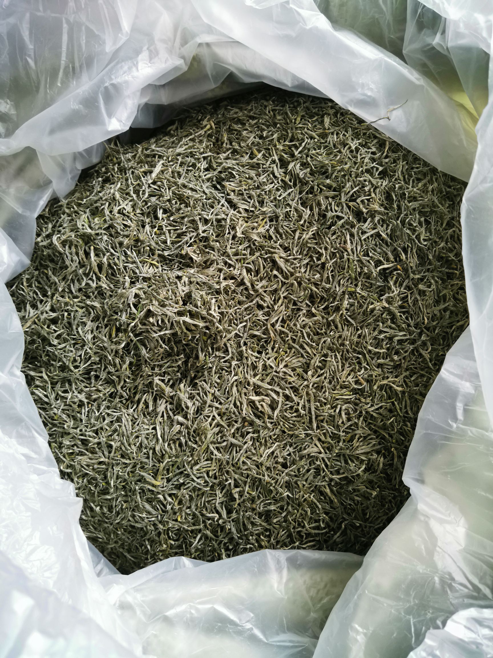 恩施玉露 茶农自产自销，生态茶园，高山云雾茶