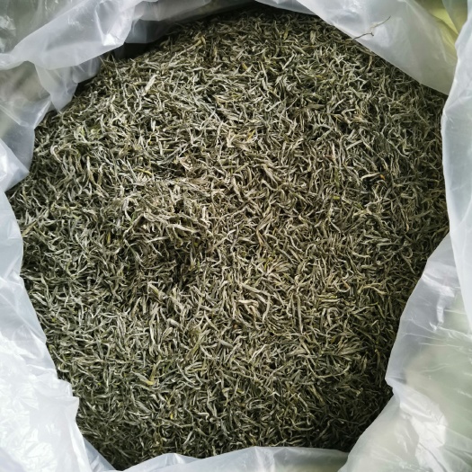 石门县恩施玉露 茶农自产自销，有机生态茶园，高山云雾茶