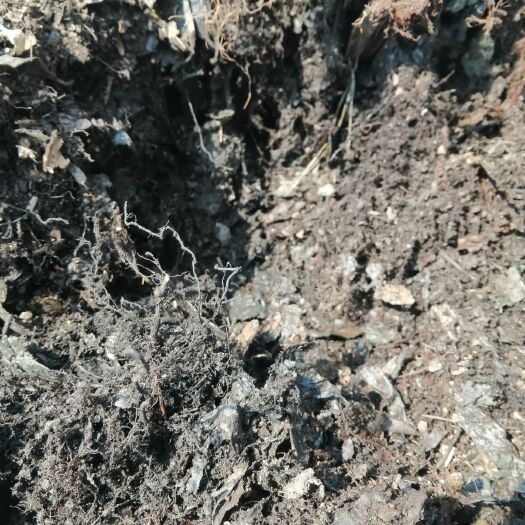富源县腐殖土