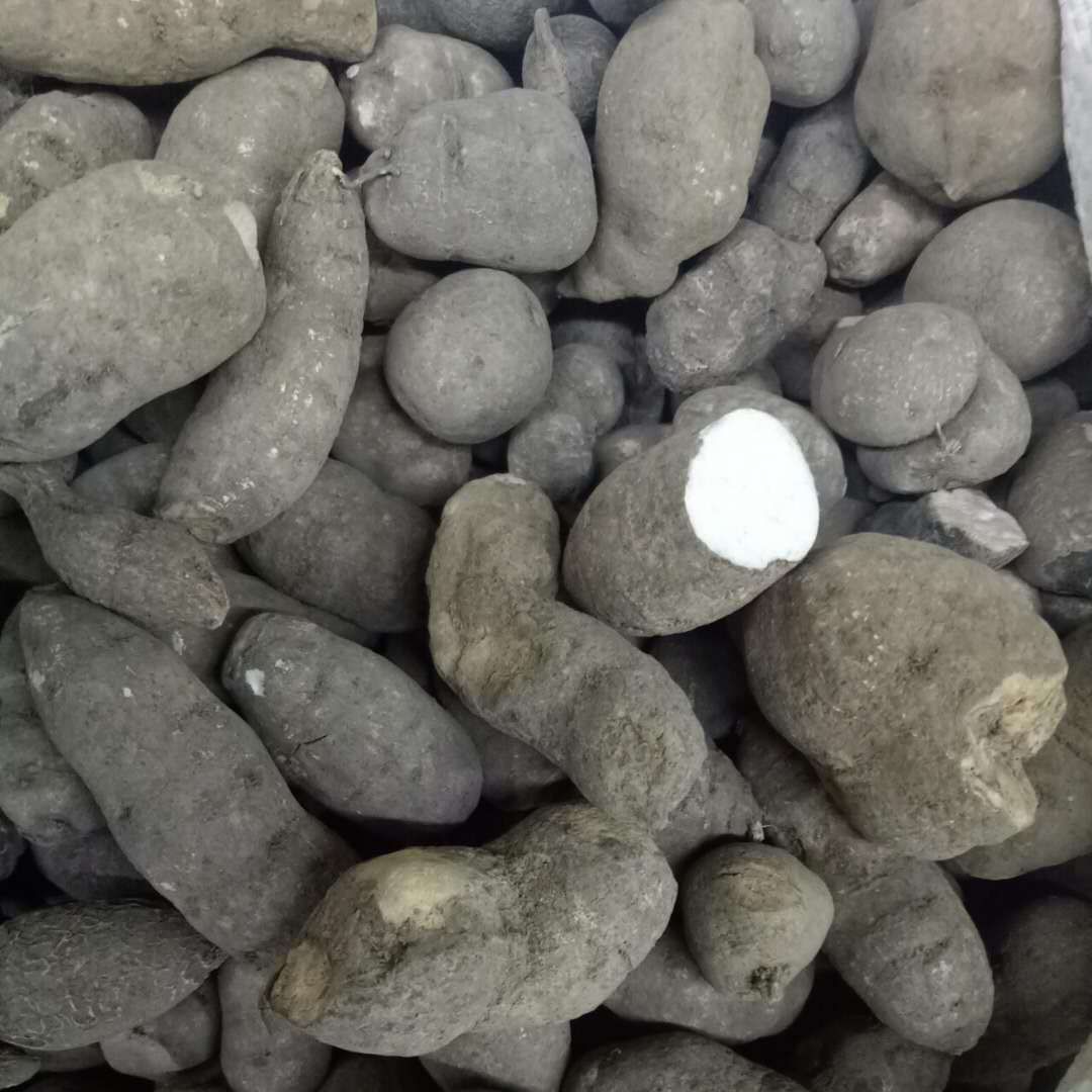 三叶青  各种规格 正品保障专业中药批发