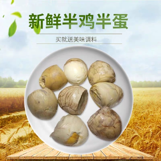 南京活珠子鸡胚蛋喜蛋凤凰蛋熟钢化蛋毛蛋毛鸡
