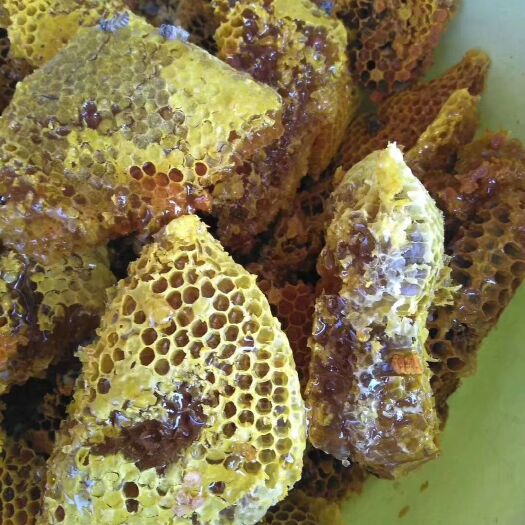 景洪市云南冬蜂蜜 花蜜