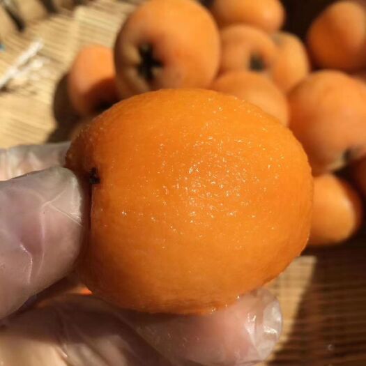 德昌县 德昌枇杷