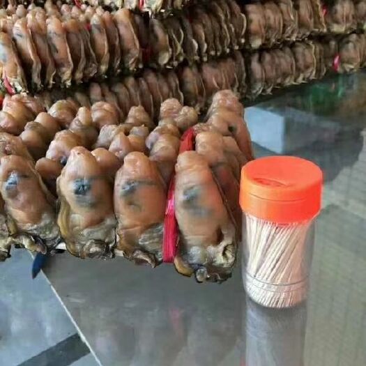 台山市牡蛎干  蚝豉