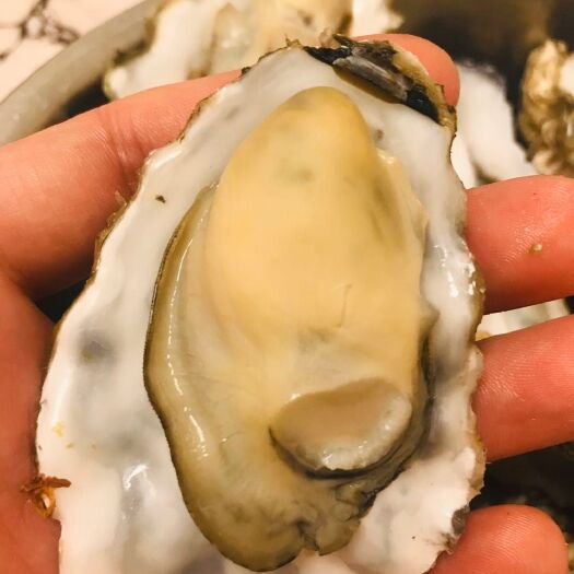 庄河市 牡蛎机选两次清洗