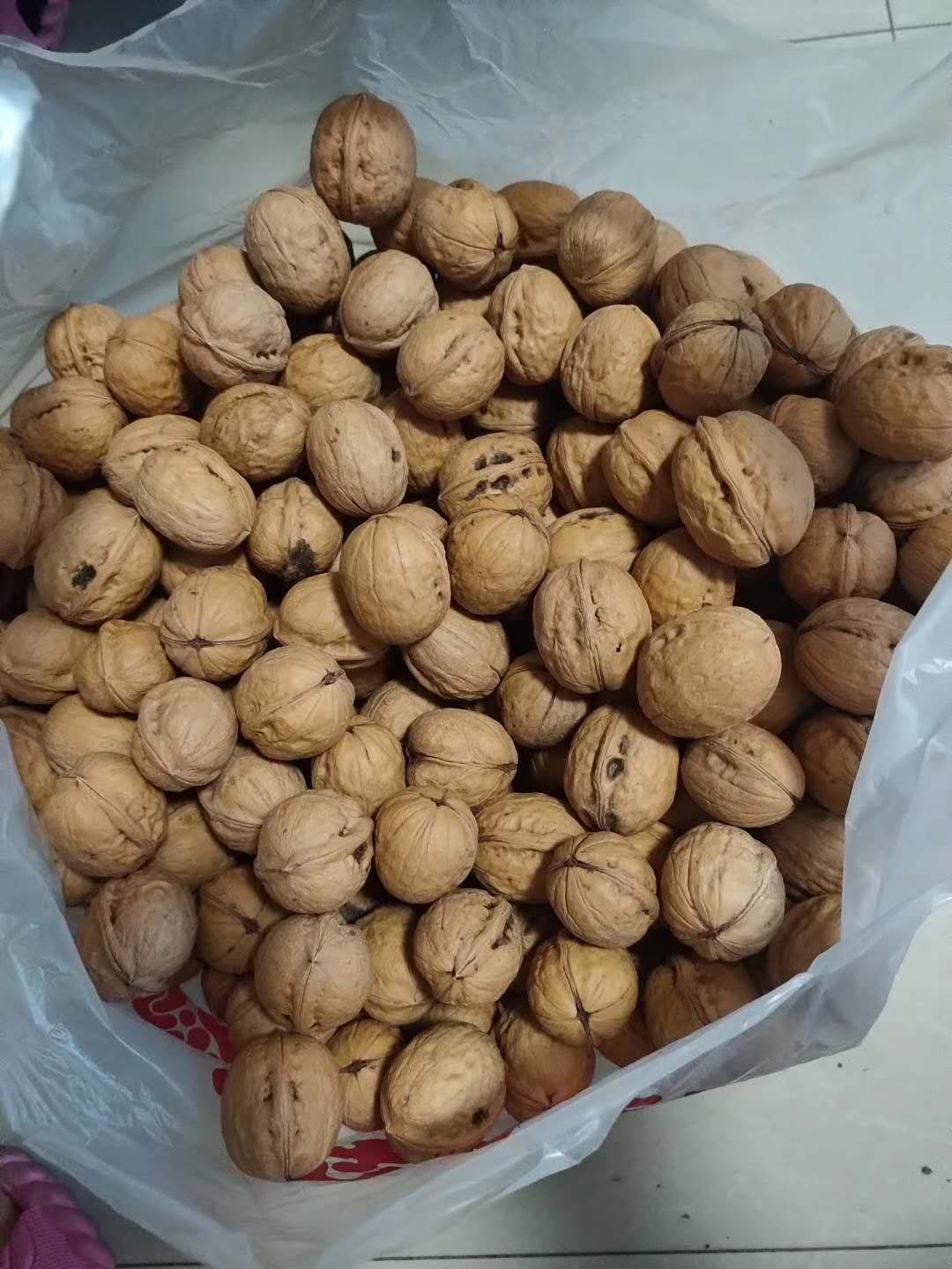 核桃，香玲核桃，黄龙核桃，黄龙香玲核桃，当年新核桃。