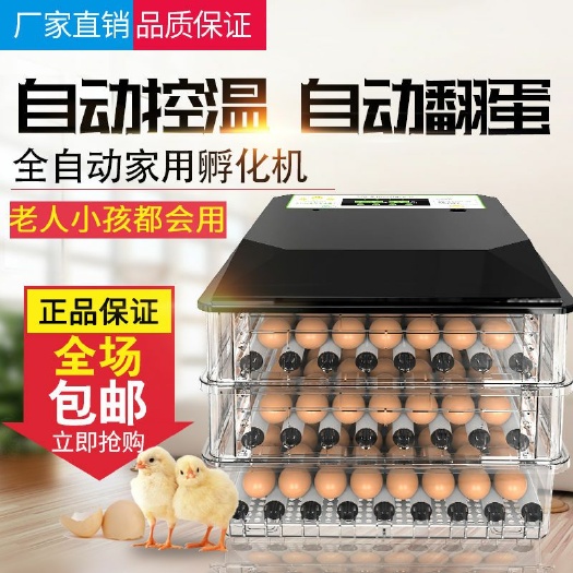 平山县养殖孵化机 【高孵化率】威振小型家用全自动水床孵化器迷你孵化机小鸡孵化箱